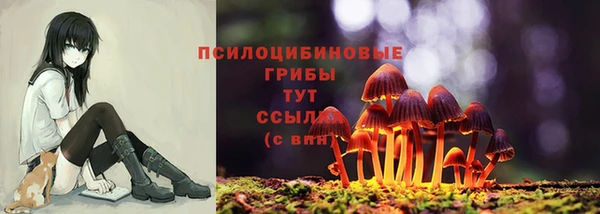 прущий лед Абдулино
